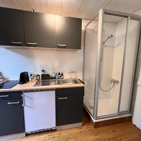 Kleines Nest Im Zentrum, Eigener Eingang, Parkplatz, Kostenloses Wlan * Dornbirn